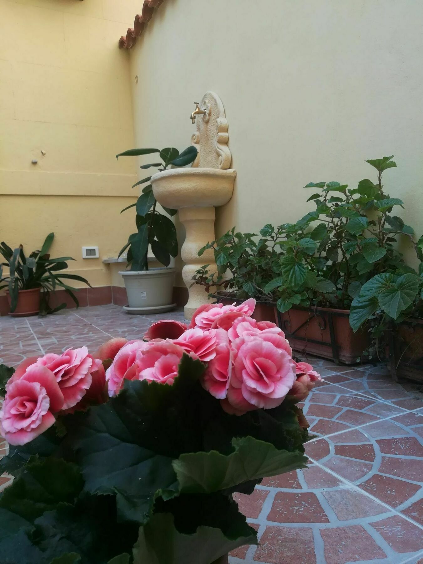 Le Rose Del Viale Otel Palermo Dış mekan fotoğraf