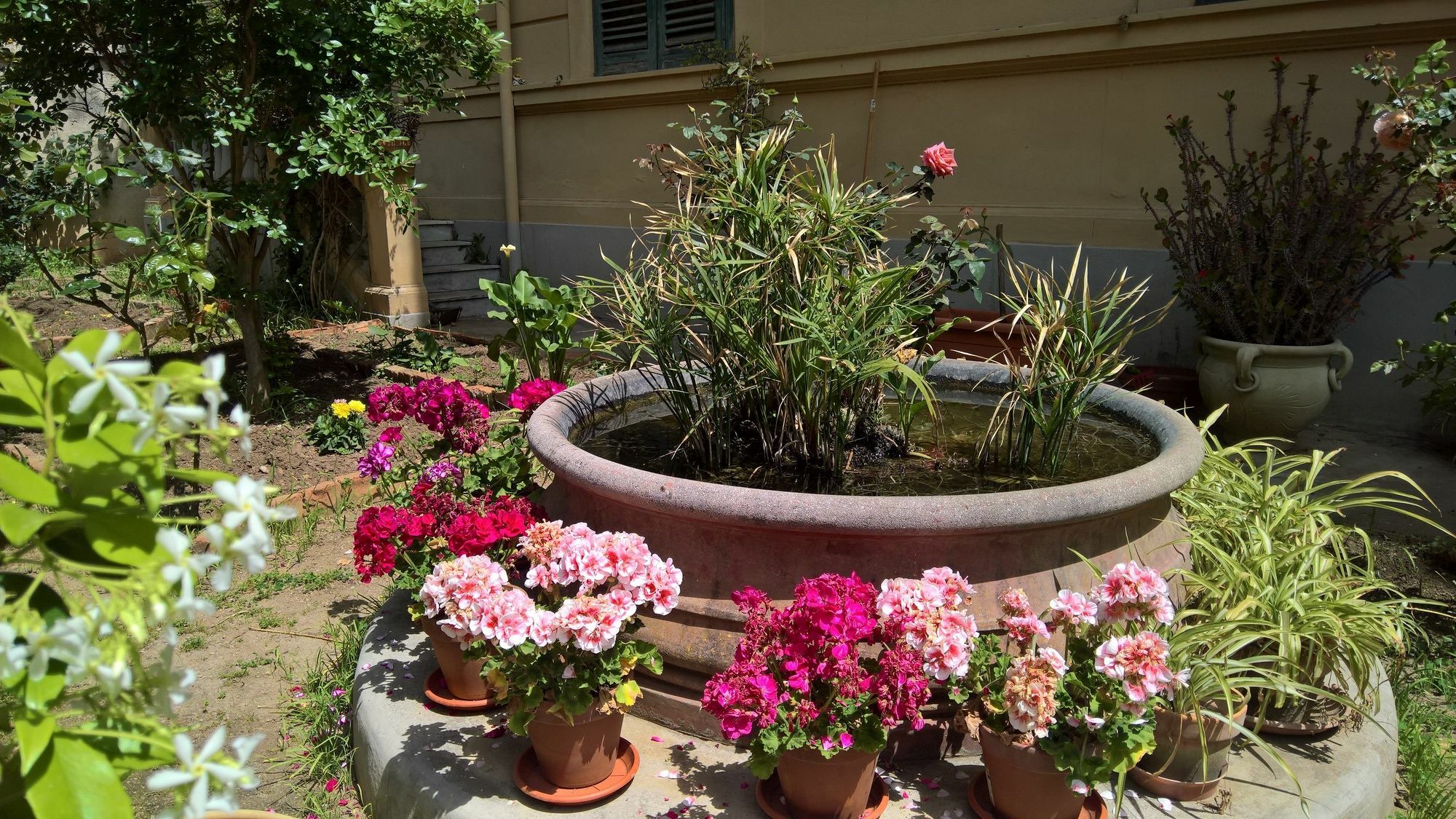 Le Rose Del Viale Otel Palermo Dış mekan fotoğraf